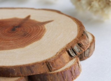 можжевельник